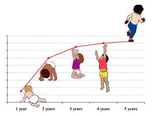 Le curve di crescita OMS